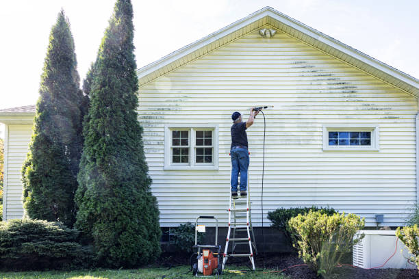 Best Graffiti Removal Services in Woodstock, IL